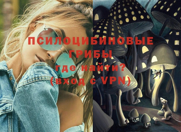 прущий лед Алзамай