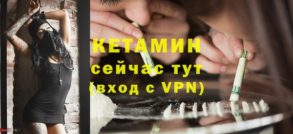 прущий лед Новозыбков