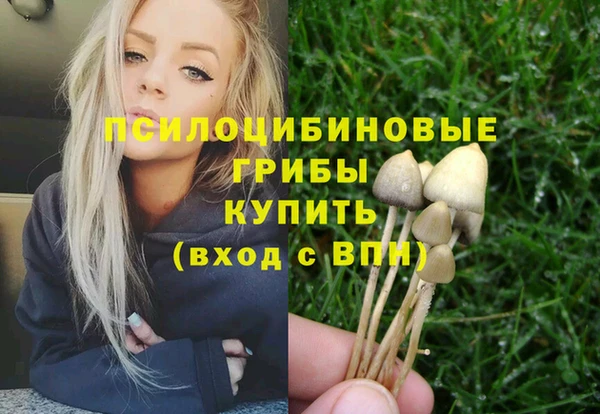шишки Алексеевка
