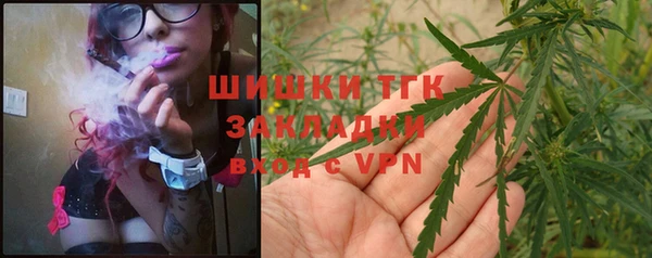 шишки Алексеевка