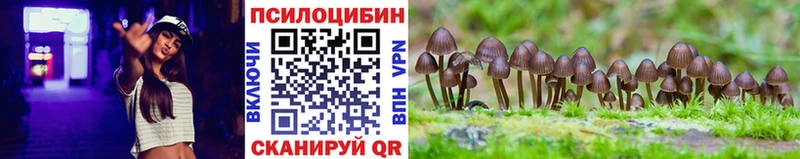 Псилоцибиновые грибы мицелий Цивильск